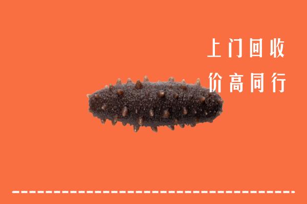 高价求购：保定满城回收海参