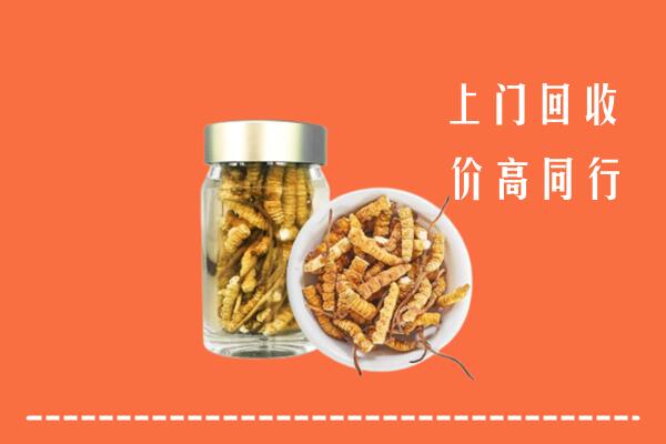 保定满城回收冬虫夏草