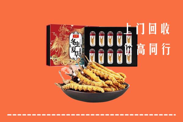 保定满城回收虫草